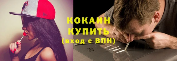 индика Баксан