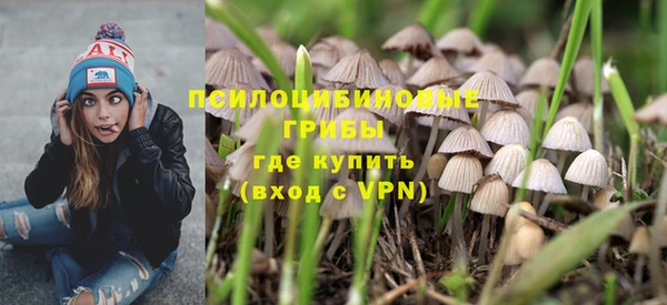 прущий лед Армянск
