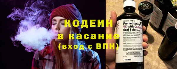 индика Баксан